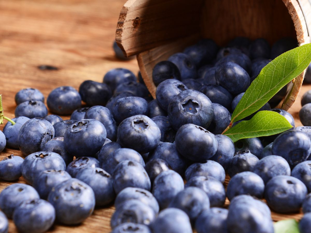 Fresh blueberries spilling from a wooden bucket